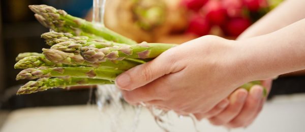 banner-safe-food-handling